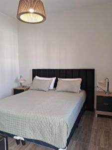 a bedroom with a large bed with a black headboard at CASABLANCA CATAMARCA Guest House in San Fernando del Valle de Catamarca
