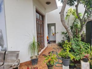 a courtyard with plants and a tree in a building at Joyous Cottage in Maharagama
