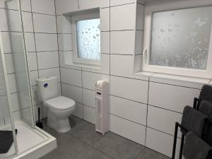 a bathroom with a toilet and a window at Patrycja 2 in Ehenbichl