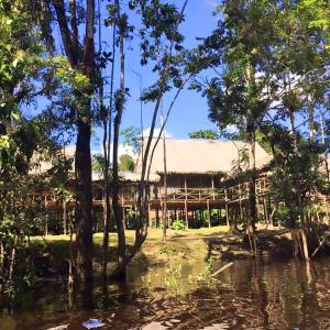 a house in the middle of a flooded forest at Amazon Bromelia Lodge & Expeditions in Iquitos
