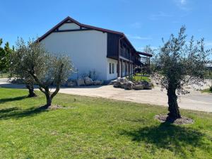 two trees in the grass in front of a building at Resort Konírna in Mikulov