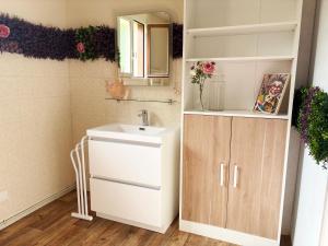 a bathroom with a sink and a mirror at Chez Colette, maison agréable in Villebernier +41 photos