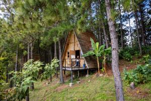 a tree house in the middle of a forest at Los Pinos EcoHotel in Hobo +48 photos