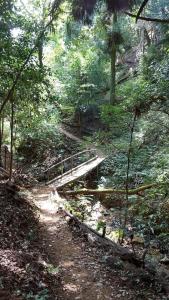 a wooden bridge over a stream in a forest at Kiyo's Apartment in Bālāju +9 photos
