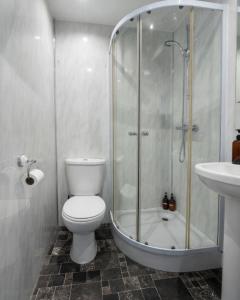 a bathroom with a shower and a toilet and a sink at The Hairy Lemon in Alnwick
