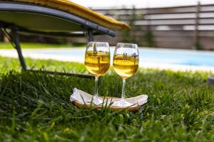 two glasses of wine sitting in the grass at Casa d'Arcã in Alijó
