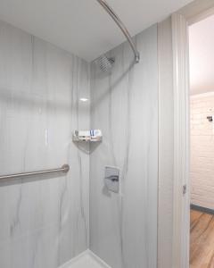 a shower with a glass door in a bathroom at Economy Suites Springfield - Extended Stay in Springfield