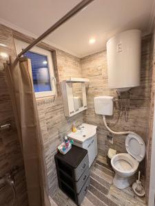 a bathroom with a toilet and a sink at Apartmani Evelin 1 in Veliko Gradište