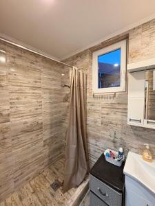 a bathroom with a shower and a sink at Apartmani Evelin 1 in Veliko Gradište