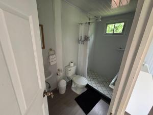 a small bathroom with a toilet and a window at Cautiva Sleep Inn in Guácimo