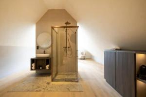 a bathroom with a shower with a sink and a mirror at Cozmoss Boutique Hotel in Erica +31 photos