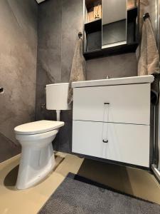 a bathroom with a white toilet and a mirror at B&B Goeje Morge in Ammerzoden