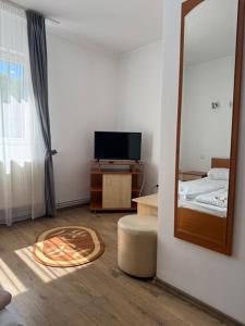 a living room with a mirror and a television at Motel Vatra Bunătăților in Brezoi