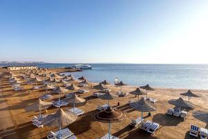 a group of umbrellas and chairs on a beach at TK Royal Hotel & SPA in Hurghada