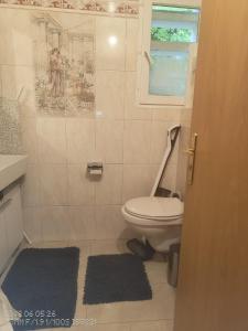 a bathroom with a toilet and a sink and a window at Chez Carolayn in Geneva +2 photos