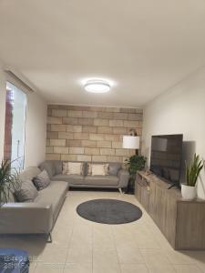 a living room with a couch and a flat screen tv at Chez Carolayn in Geneva