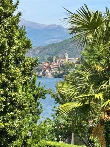 a view of a lake from between two trees at Villa Elvira fronte lago di Como by Gottschalk in Dervio