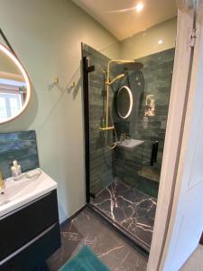 a bathroom with a shower and a sink at La TULIPE SAUVAGE in Bourdeaux +24 photos