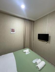 a hotel room with a bed and a flat screen tv at Hotel Blue sky in Tbilisi City