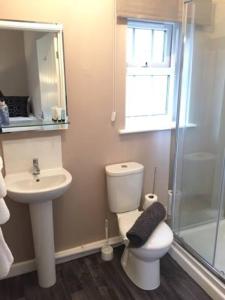 a bathroom with a toilet and a sink and a shower at The Anchor Inn in Sutton Bridge