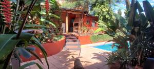 a house with a swimming pool and some plants at Ombú Guests House in Puerto Iguazú
