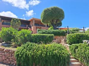 a garden with bushes and a building with a tree at Residence Porto Rotondo in Porto Rotondo