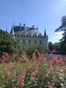 a large white castle behind some pink flowers at Gîte Roses De Loire in Bréhémont