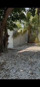 a yard with a building and two palm trees at Aldea Cardumen in Isla Aguada