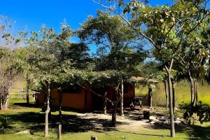 a cabin in a field with trees in front of it at Chalé Prainha com Cozinha - Valle das Pedras in Sao Jorge