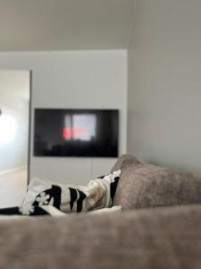 a person laying on a couch in a living room at Seminaari Hill Suite in Jyväskylä