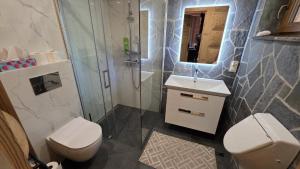 a bathroom with a shower and a toilet and a sink at Sarnia CHATA in Brenna +41 photos