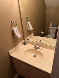 a bathroom with a sink and a toilet and a mirror at #HycheHoops Final Four Nest in Starkville