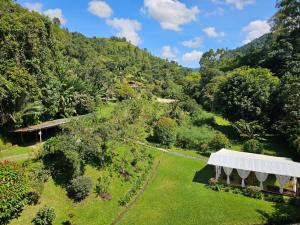 an overhead view of a garden with a tent at EcoLodge La Pluma in Salento