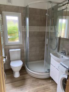 a bathroom with a shower and a toilet and a sink at Domky Slapy pod golfem in Slapy +22 photos
