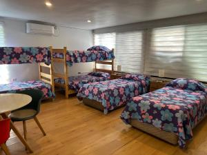 a room with four bunk beds and a table at Hostal Doñihue in Doñihue