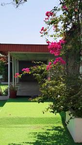a house with pink flowers on a green lawn at Labella Chalet in Barka