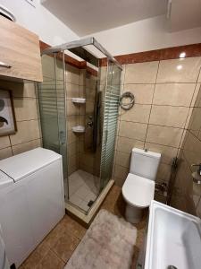 a bathroom with a shower and a toilet and a sink at Hra in Loutraki +3 photos