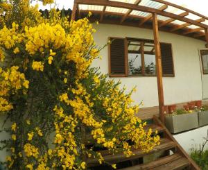 un montón de flores amarillas delante de una casa en As Nancy B&B en Ushuaia