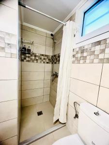 a bathroom with a shower and a toilet at Μάζης Εξοχικές Κατοικίες in Dhiyeliótika +43 photos
