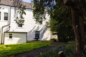 ein weißes Haus mit einem Baum davor in der Unterkunft Pansy Plot in Wooler