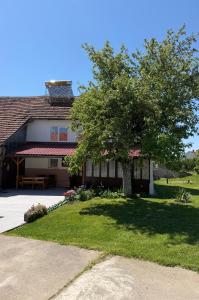 a house with a tree in front of it at Green Village Life in Katun
