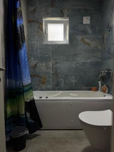 a bathroom with a tub and a toilet and a window at Peja Riverside Hostel in Peje