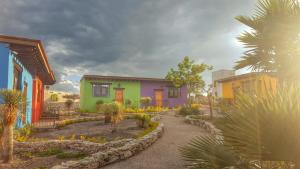 a group of houses with palm trees in a garden at El Macehual in San Miguel de Allende