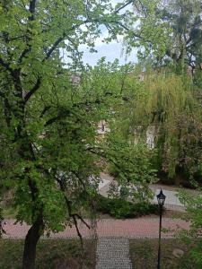 a park with a tree and a street light at OLD TOWN Olsztyn in Olsztyn +9 photos