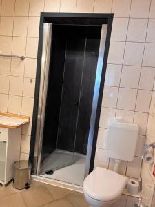 a shower stall in a bathroom with a toilet at Haus Talruhe in Kurort Altenberg