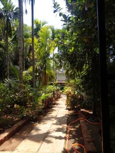 a path through a garden with palm trees at Dikshit bungalow in Diveagar