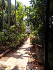 a path in a garden with a hose at Dikshit bungalow in Diveagar