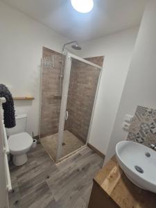 a bathroom with a shower and a toilet and a sink at Comfortable one-story studio apartment in Péronne