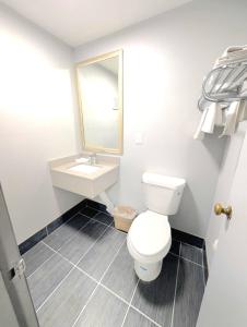 a bathroom with a toilet and a sink and a mirror at BlissPoint Inn Muncie in Muncie