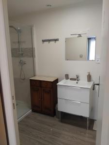 a bathroom with a sink and a shower and a mirror at Chambre in Château-Garnier